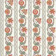 Clemont (NCF4485-02)